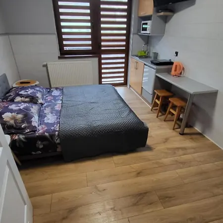 Privat bolig Dom Pod Winogronem *