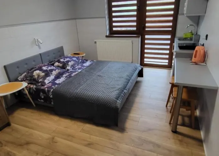 홈스테이 Dom Pod Winogronem